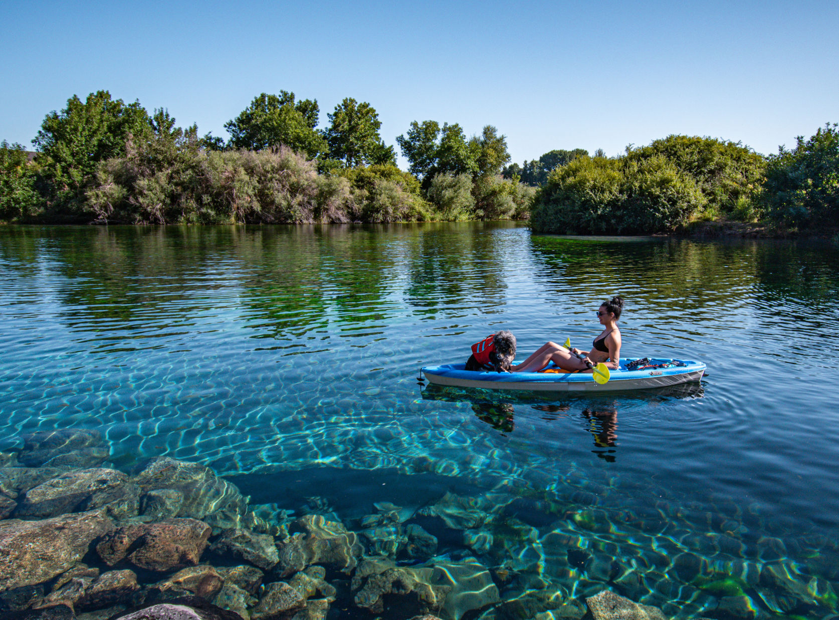 Blue Heart Springs